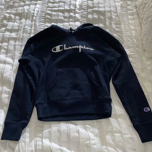 Navy Champion Sweatshirt